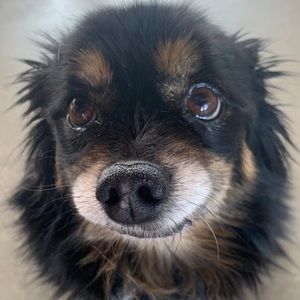 Meet your Posher, Allison